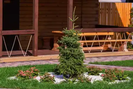 Суздальский хутор - 27