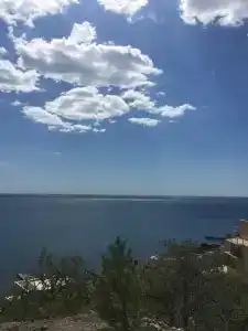 Гончаров - 27