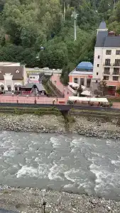 Голден Тюлип - 82