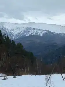 Солонечный - 53