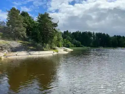 Чайка 1918 - 29