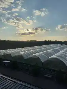 Гектария - 3