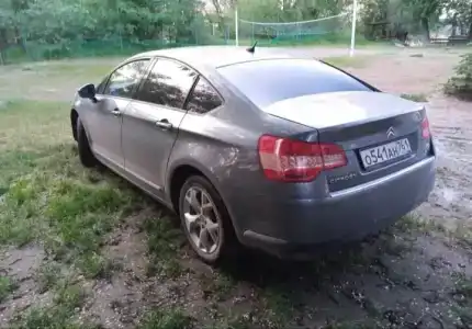 Солнечная поляна - 7