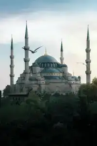 Hamitbey - 1