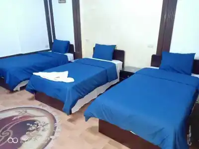 Cecilia Hostel - 35