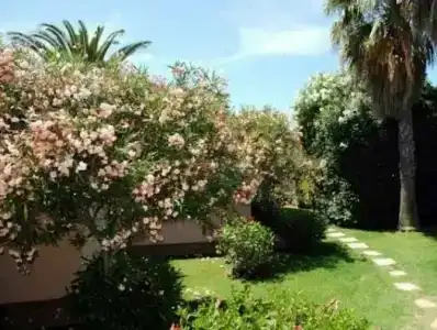 Residence Fenicia - 9