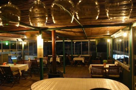 Caretta Caretta - 12