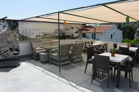 Caretta Caretta - 22