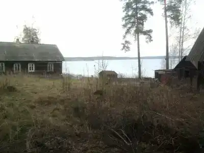 Сайма - 3
