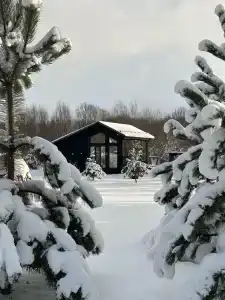 Холки camp - 3