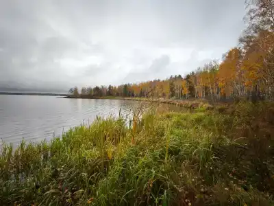 Варяг - 6