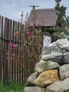 Рыбасик - 13