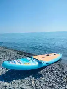 Ягоар - 2