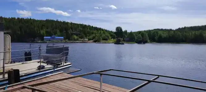 Нереис - 18