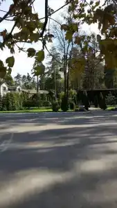 Тихая Заводь - 2