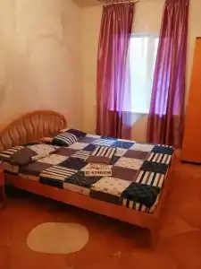 Партан - 36