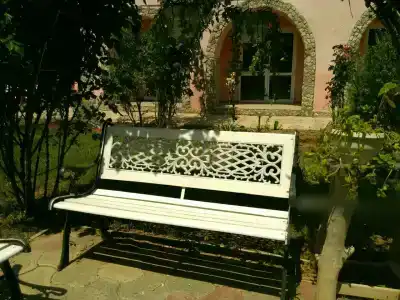 Золотая Рыбка - 11
