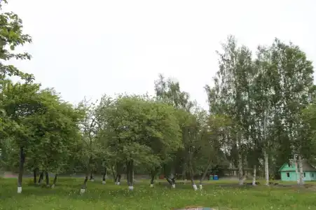 НовГУ - 22