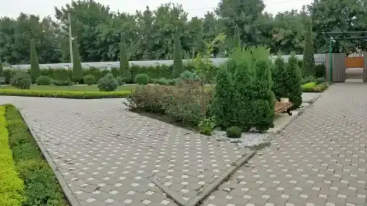 Великовечное - 90