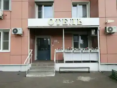 Крокус Стар - 16