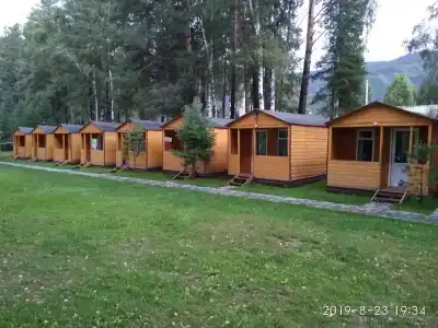 Виктория - 20