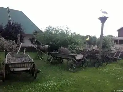 у Солохи - 16
