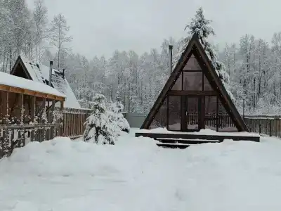 Forest life - 3