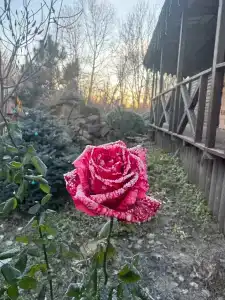 Холмские пруды - 2