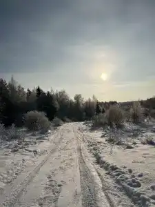 Северный олень - 35