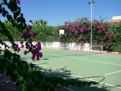 Papouis Protaras ex smartline Protaras - 8
