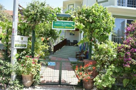 Caretta Caretta - 17