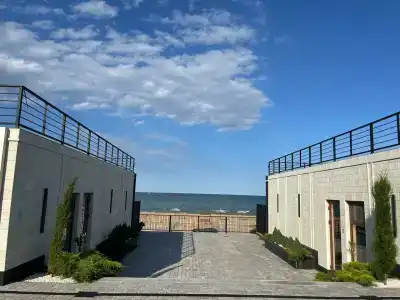 Павлония - 48