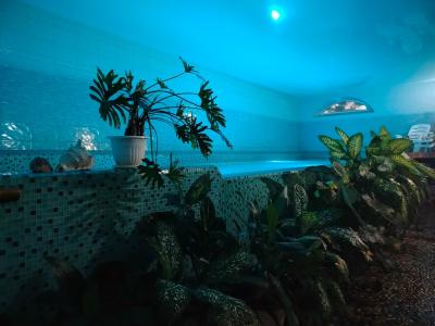 Amur Resort - 41