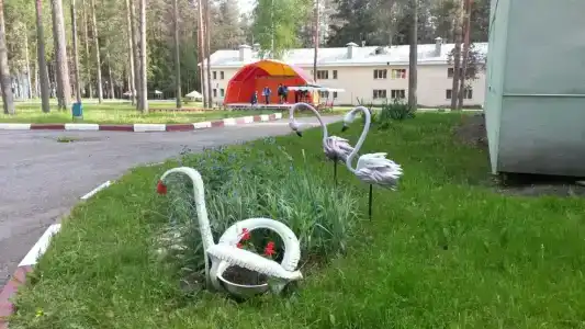 Селычка - 16