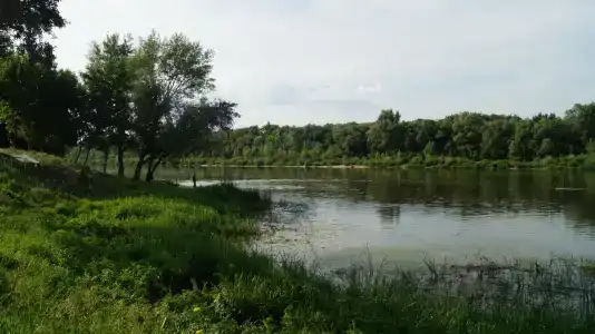 Усадьба на Дону - 8