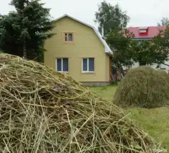 Усадьба - 15