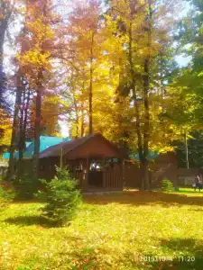 Лесной дом - 56