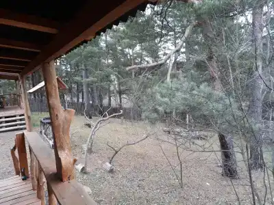 Избушка на опушке - 12