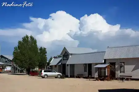 Серфприют - 24