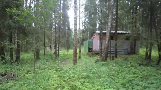 Лесной Родник - 71