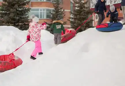 Стрежень - 2