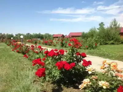 Волга-Волга - 46