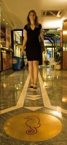 Cavalluccio Marino - 31