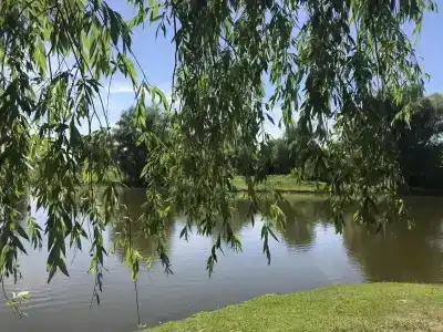 Кувшинка - 8