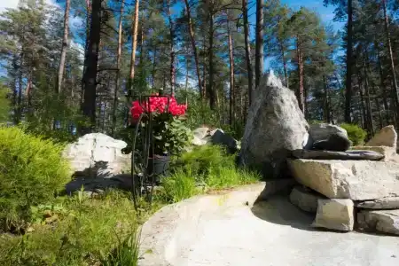 Алтаир - 41