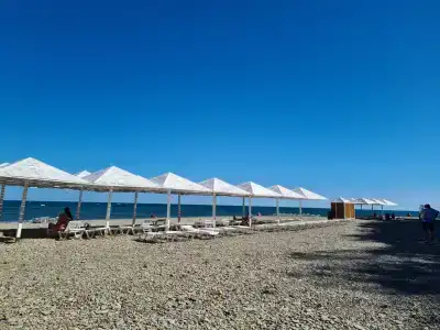 Рассвет - 4
