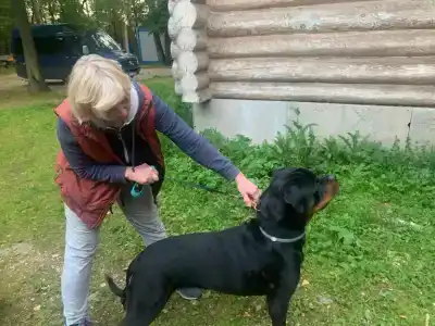 Лесной Дом - 15