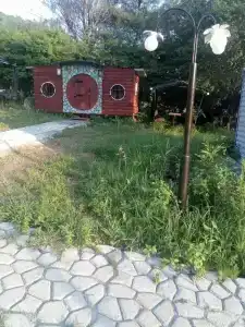Вишневый сад - 41