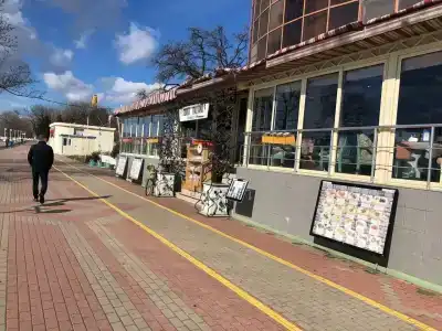 Компас Магнолия - 22