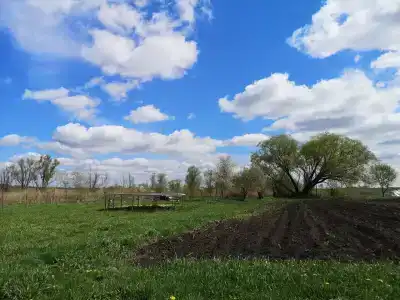 Сказкин Луг - 9